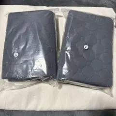 Item thumbnail for item b0dc2a48-fbcb-4fa8-af0f-a2c536e469f4