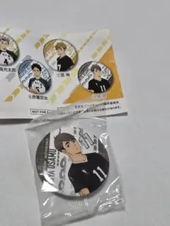 くら寿司　コラボ　ハイキュー　宮 治　缶バッチ