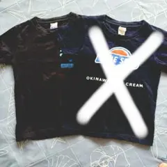 沖縄 Tシャツ 2枚セット