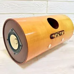 M's System MS-1001 スピーカー エムズシステム 波動スピーカー