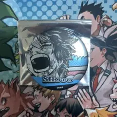 僕のヒーローアカデミア　デコレクション　缶バッジ　轟焦凍　ヒロアカ