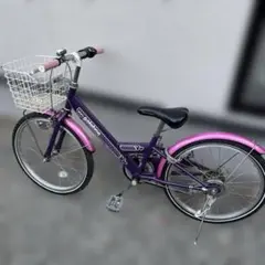 22インチ　自転車　静岡西部　引き取り限定のサムネイル