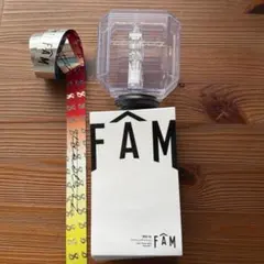 timelesz ペンライト FAM &銀テープ１本