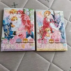 会長はメイド様 公式ファンブック マリアージュ 2冊セット 初版 - メルカリ