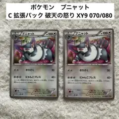 ブニャット C 拡張パック 破天の怒り XY9 070/080