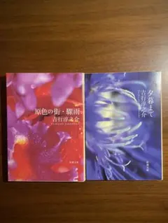 美品 吉行淳之介 原色の街・驟雨 夕暮まで 新潮文庫