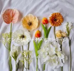 ポンた様オーダー専用ページ