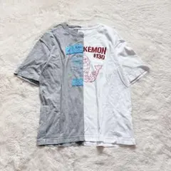 半袖 カットソー ポケモン プリントTシャツ キャラクター 刺繍 ワッペン 春夏