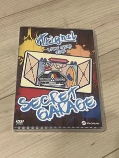 Trignal ライブDVD Trignal ノブグナル DVD