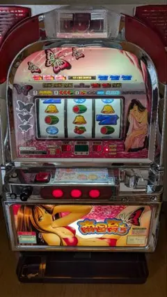 2026年最新】南国育ち4号機の人気アイテム - メルカリ