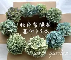 ひじき様 リクエスト 2点 まとめ商品