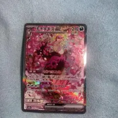 キチキギスex SAR M2a 244/193