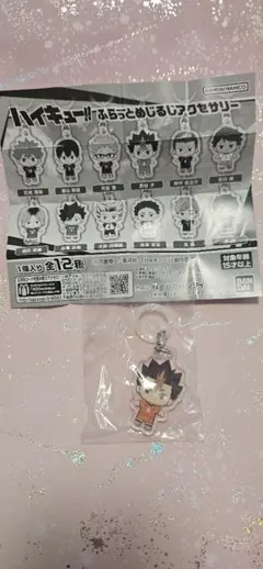 ハイキュー!!ふらっとめじるしアクセサリー