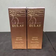 ヘアボーテ エクラ ボタニカルエアカラーフォーム ダークブラウン 80g 2個のサムネイル