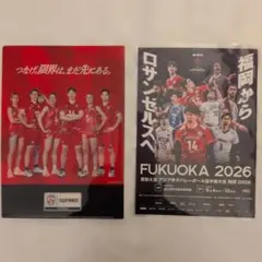 バレーボール日本代表 カプコン コラボ クリアファイル