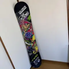 サロモン VANS Hurley コラボ スノーボード グラフィックボード