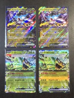 タケルライコex,オーガポン みどりのめんex,各2枚