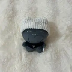 The boyz ジュヨン マスタニム ぬいぐるみ 60cm ジュモンイ The boyz ジュヨン マスタニム ぬいぐるみ 60cm ジュモンイ The