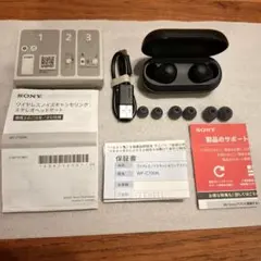 SONY WF-C700N ソニー ノイズキャンセリングイヤホンのサムネイル