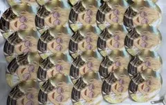 専用ページ