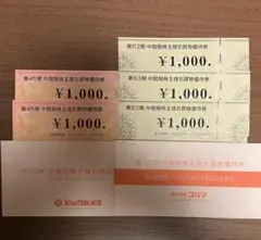 ビックカメラ　コジマ　株主優待券　5000円分