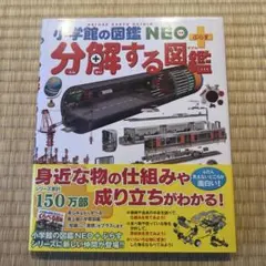 Item thumbnail for item 541c21c5-4f0a-4bf8-8004-1f6fa8c809cc