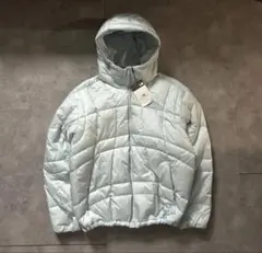 【国内未発売❗️】ノースフェイス　ダウン　wave lt 水色　XL