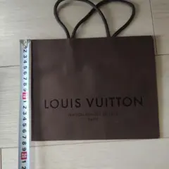 LOUIS VUITTON ブラウン ショッパー 約20cm x 25cm　５枚