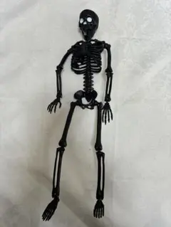 ガイコツ　フィギュア　可動式人体模型 約36cm ブラック