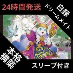 白緑ドリームメイト デッキ