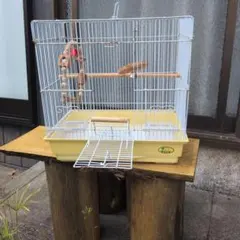 Item thumbnail for item d67b2146-f2dc-4915-8d10-9aad2dd2e0ca