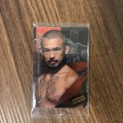 RIZIN ウエハース25 No.10 扇久保博正