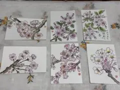 Item thumbnail for item 7b521fcb-cb94-4476-9375-2f7dee0bcd69