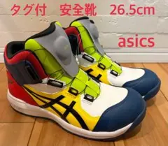 限定カラー ASICS WINJOB CP209 BOA LC安全靴 27cm - メルカリ
