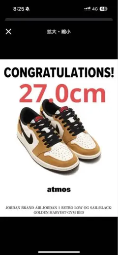 Nike Air Jordan 1 Low Rookie of the Year