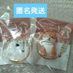 WANKONO Time Capsule 犬 キーホルダー 2個　犬の毛の入れ物