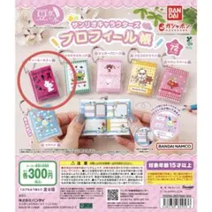 サンリオキャラクターズ「プロフィール帳」