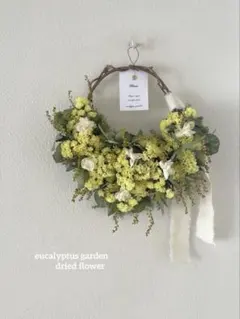 スターチス　イエロー　ミディアムハーフリース