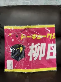 矢沢永吉 ダイヤモンドムーン 150ポイント 特典 スペシャルビーチ