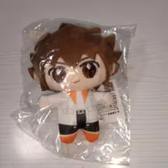 家庭教師ヒットマンREBORN！ちょこ友ぬいぐるみ　沢田綱吉