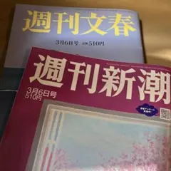 Item thumbnail for item 8fe6a084-4d6f-410e-9c17-5a0c29476595