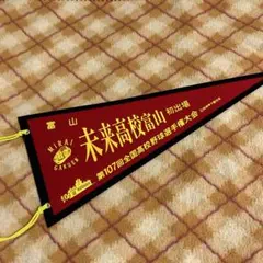 2026年最新】甲子園 高校野球 ペナントの人気アイテム - メルカリ