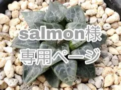 salmon様 リクエスト 3点 まとめ商品