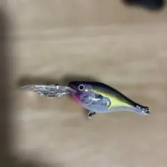 ラパラ　シャッドラップのサムネイル