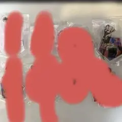 rikkotta117様 リクエスト 2点 まとめ商品