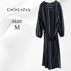 Item thumbnail for item be57fef7-d6cc-4faa-ab1a-050b6e2fc24c