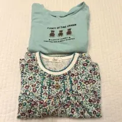 Item thumbnail for item 13dbc6fe-a7e5-4726-8d8a-88823ad573a9