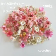 (104)かすみ草/デイジーmixドライフラワー100粒