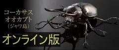 いきもの大図鑑アドバンス　コーカサスオオカブト　ジャワ島　オンライン版