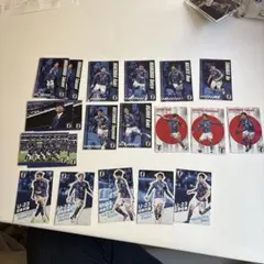 日本代表チップス